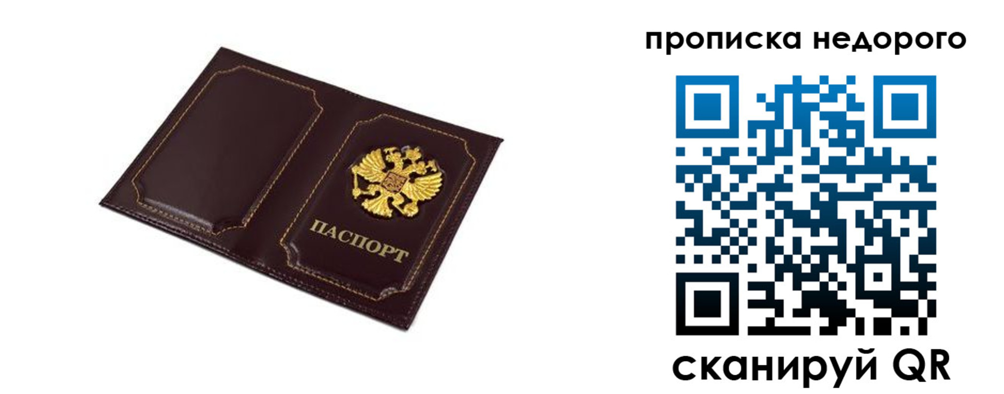 пропишу в квартире в Покрове